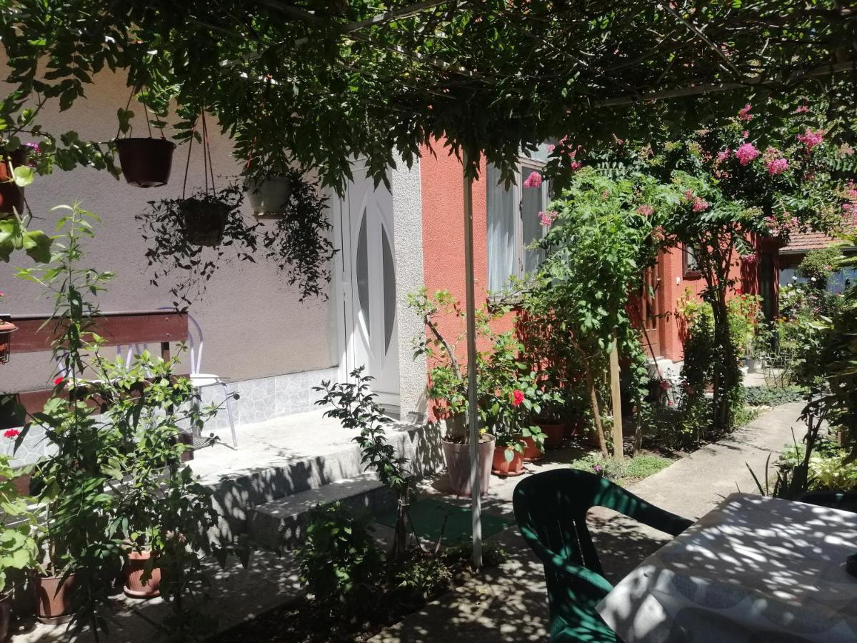 Apartman Nana Jagodina Bagian luar foto