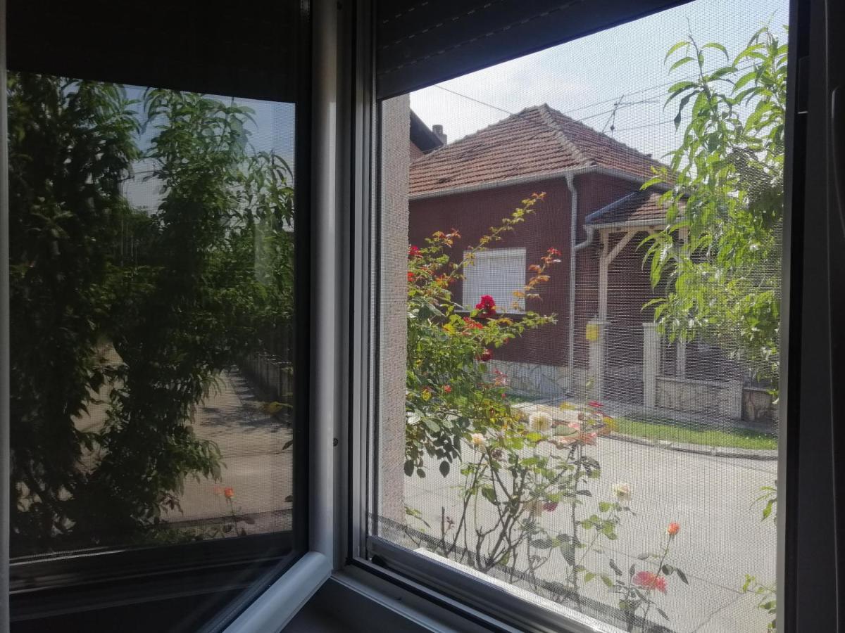 Apartman Nana Jagodina Bagian luar foto