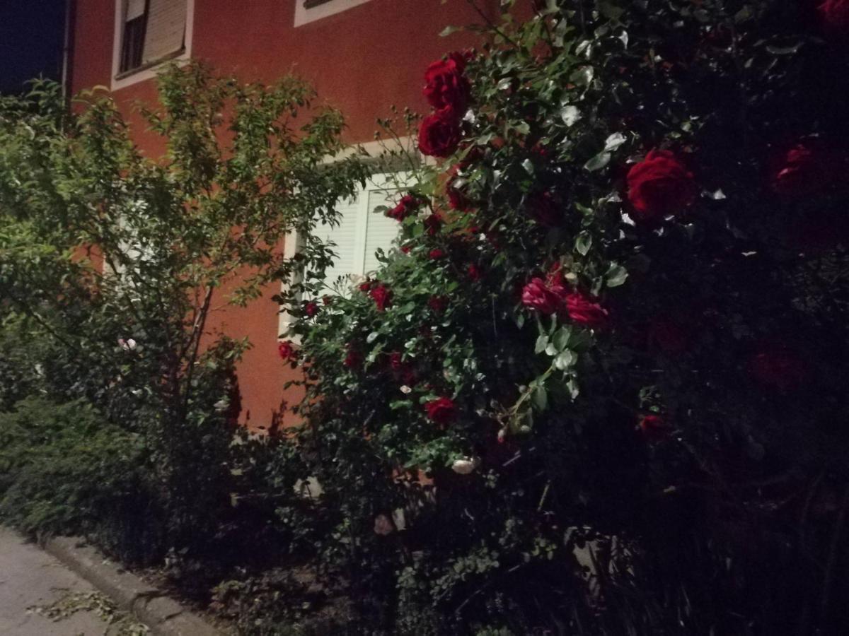 Apartman Nana Jagodina Bagian luar foto