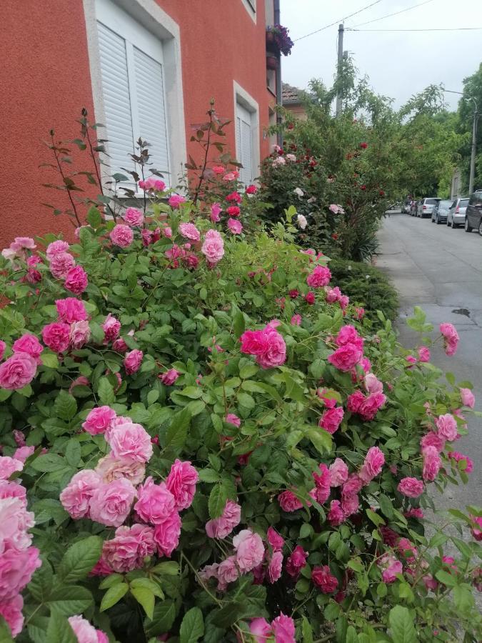 Apartman Nana Jagodina Bagian luar foto