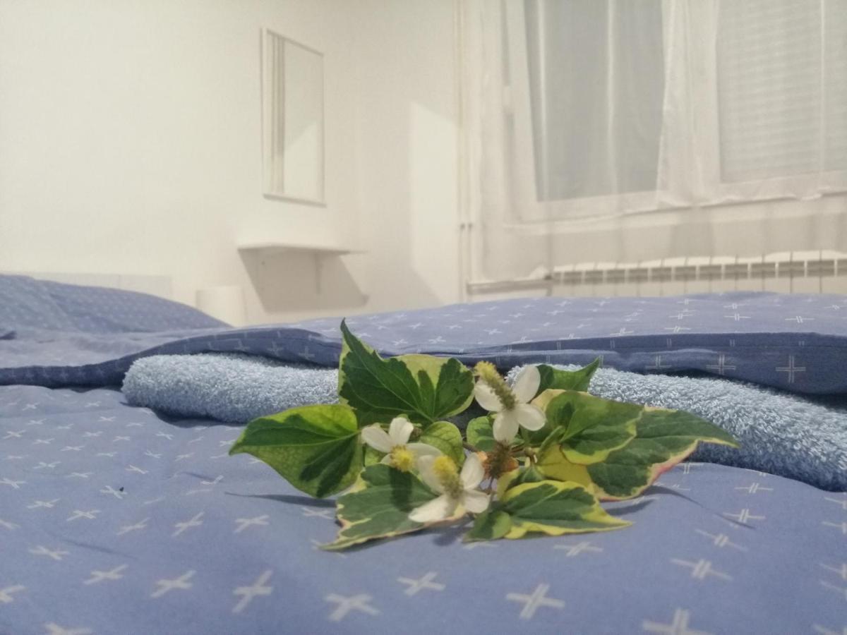Apartman Nana Jagodina Bagian luar foto
