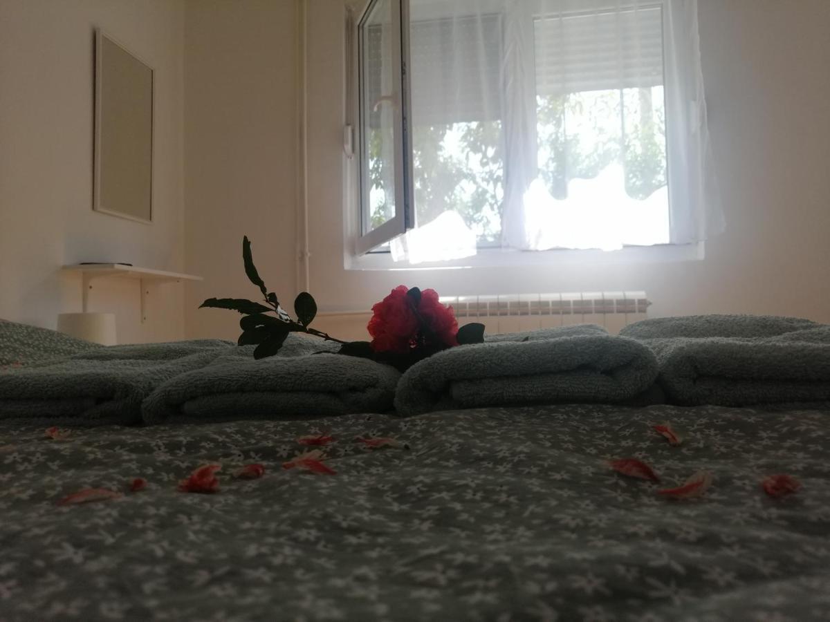 Apartman Nana Jagodina Bagian luar foto