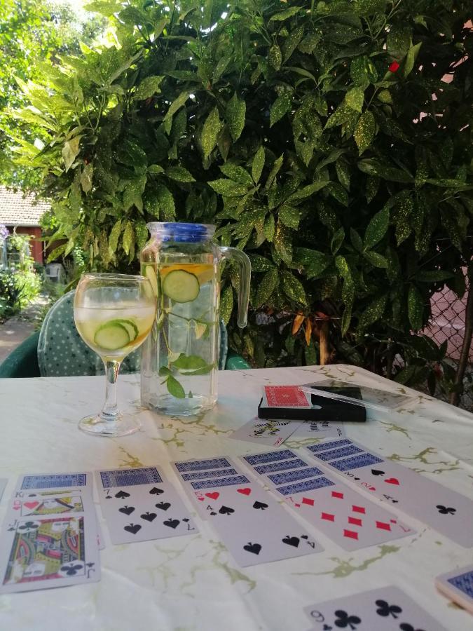 Apartman Nana Jagodina Bagian luar foto